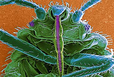 尼尔：曾想让艾比在《最后生还者2》结局死亡 最终放弃